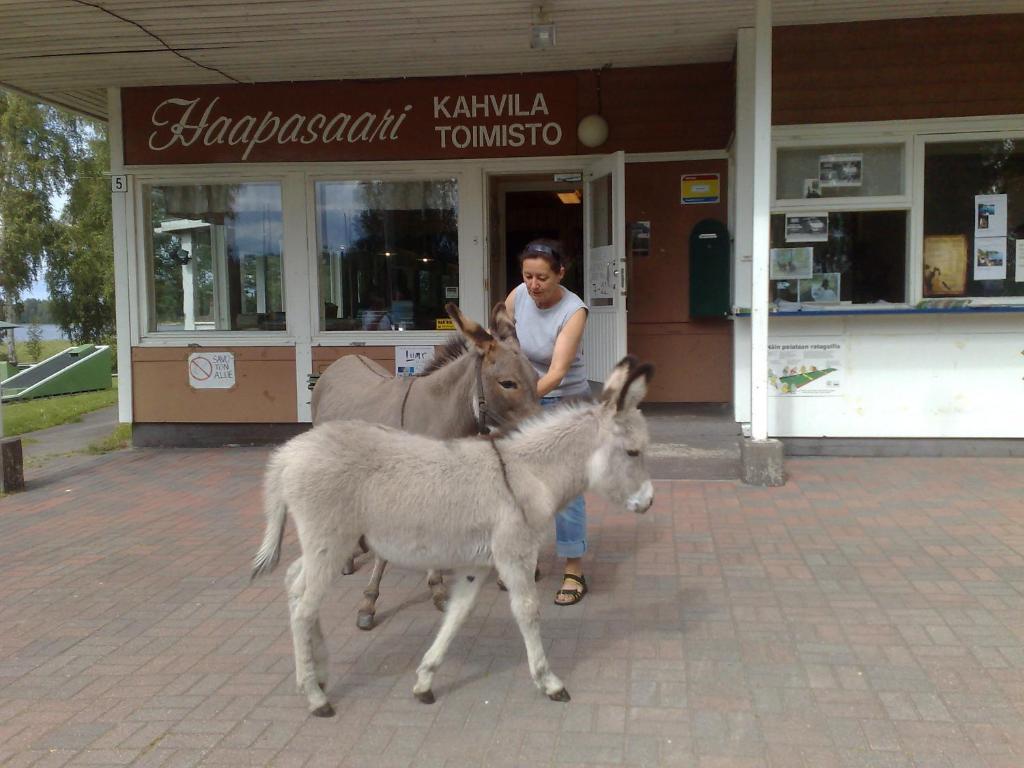 Haapasaaren Lomakyla Hotel Ruovesi Exterior foto